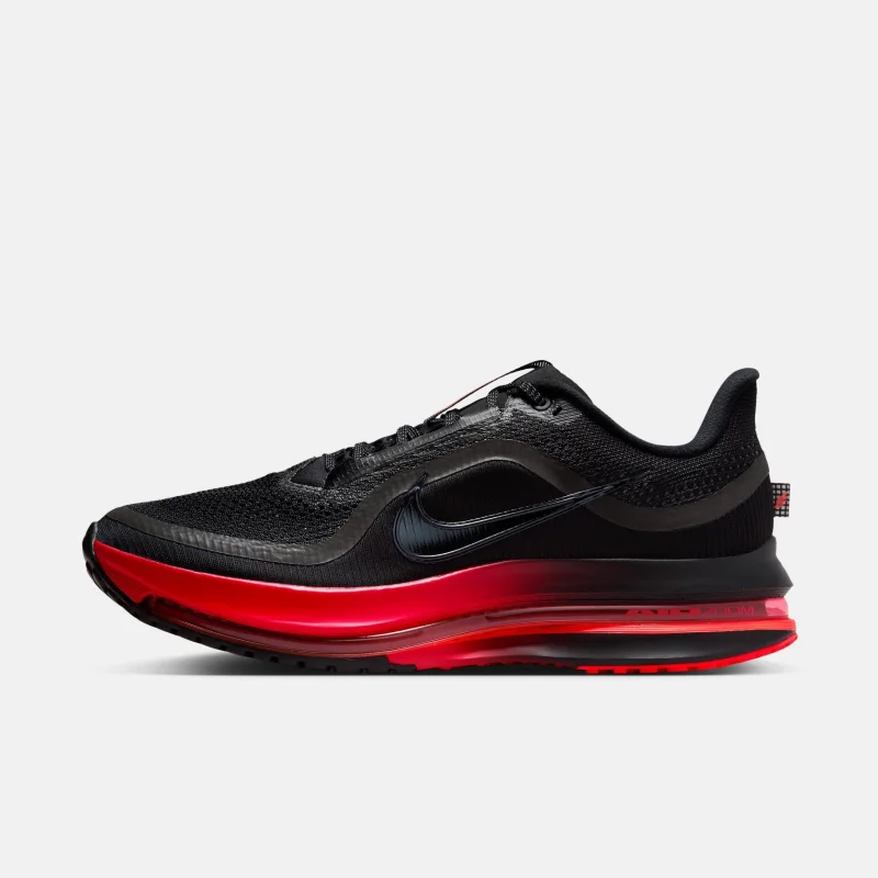 Nike Pegasus Premium | Men